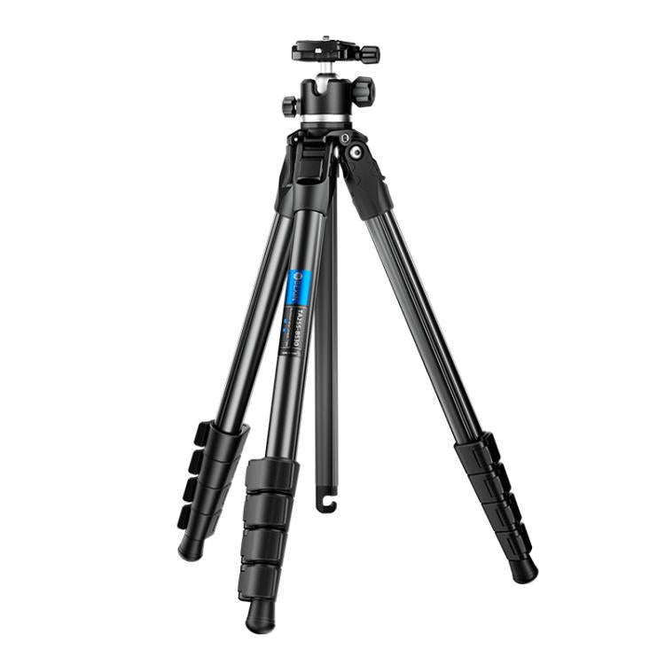 BEXIN TA255-BS30 Portable Collapsible Aluminum Alloy Camera Tripod with Head (Black)