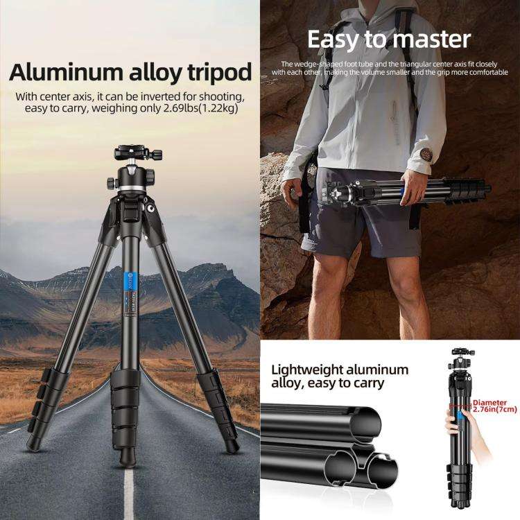 BEXIN TA255-BS30 Portable Collapsible Aluminum Alloy Camera Tripod with Head (Black)