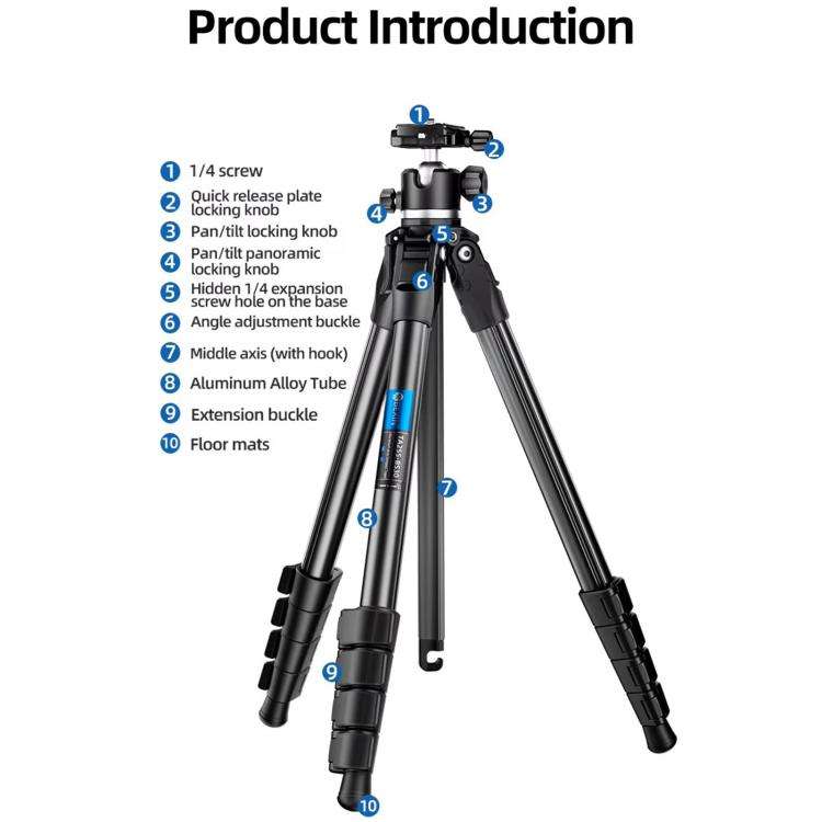 BEXIN TA255-BS30 Portable Collapsible Aluminum Alloy Camera Tripod with Head (Black)