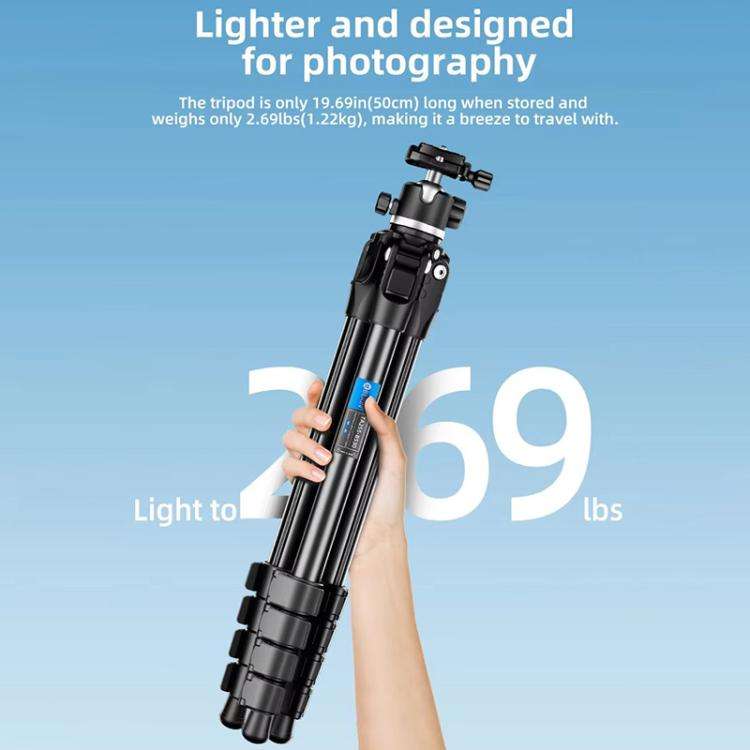 BEXIN TA255-BS30 Portable Collapsible Aluminum Alloy Camera Tripod with Head (Black)