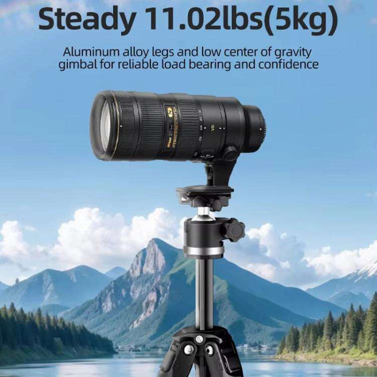 BEXIN TA255-BS30 Portable Collapsible Aluminum Alloy Camera Tripod with Head (Black)