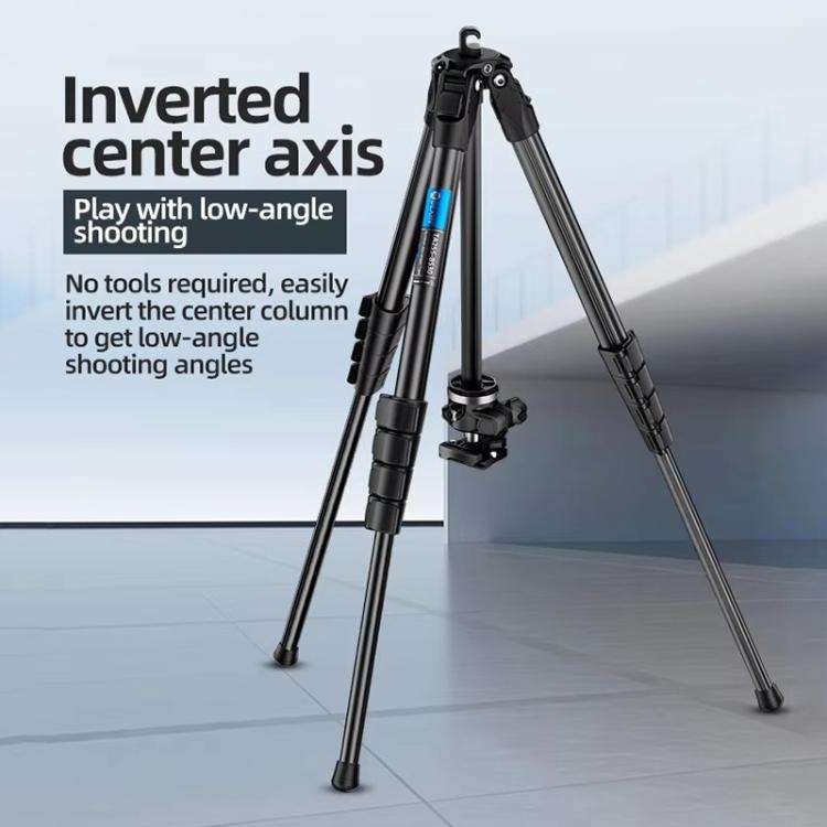 BEXIN TA255-BS30 Portable Collapsible Aluminum Alloy Camera Tripod with Head (Black)