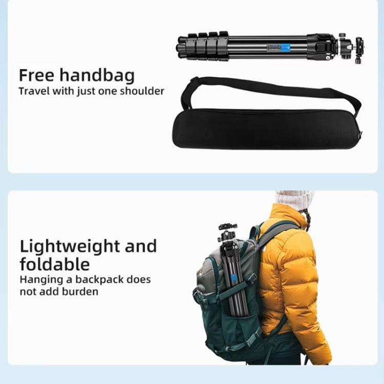 BEXIN TA255-BS30 Portable Collapsible Aluminum Alloy Camera Tripod with Head (Black)