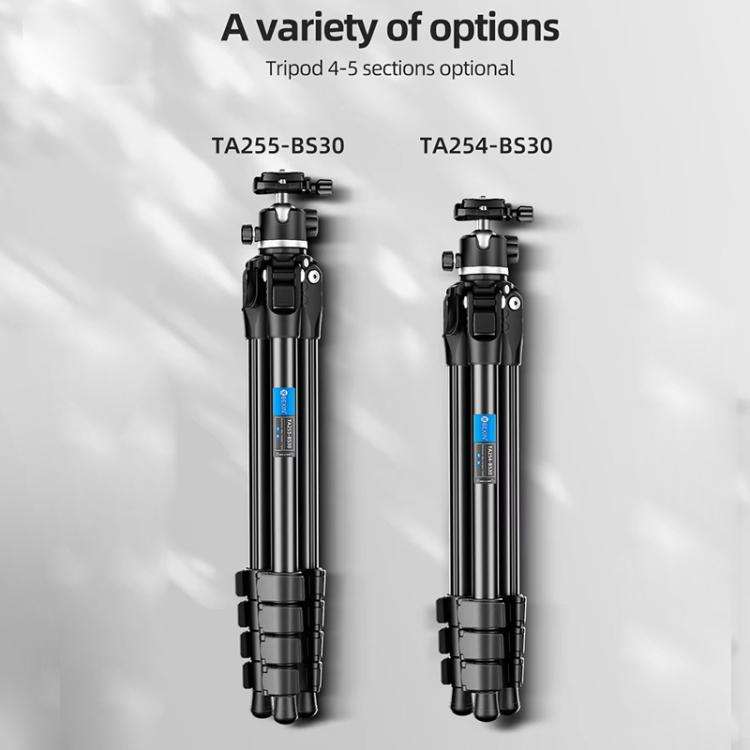 BEXIN TA255-BS30 Portable Collapsible Aluminum Alloy Camera Tripod with Head (Black)