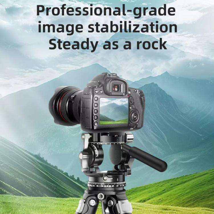 BEXIN RK294 Portable Collapsible Aluminum Alloy Camera Tripod (Black)