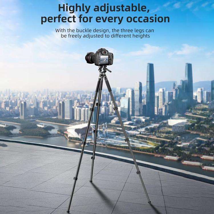 BEXIN RK294 Portable Collapsible Aluminum Alloy Camera Tripod (Black)
