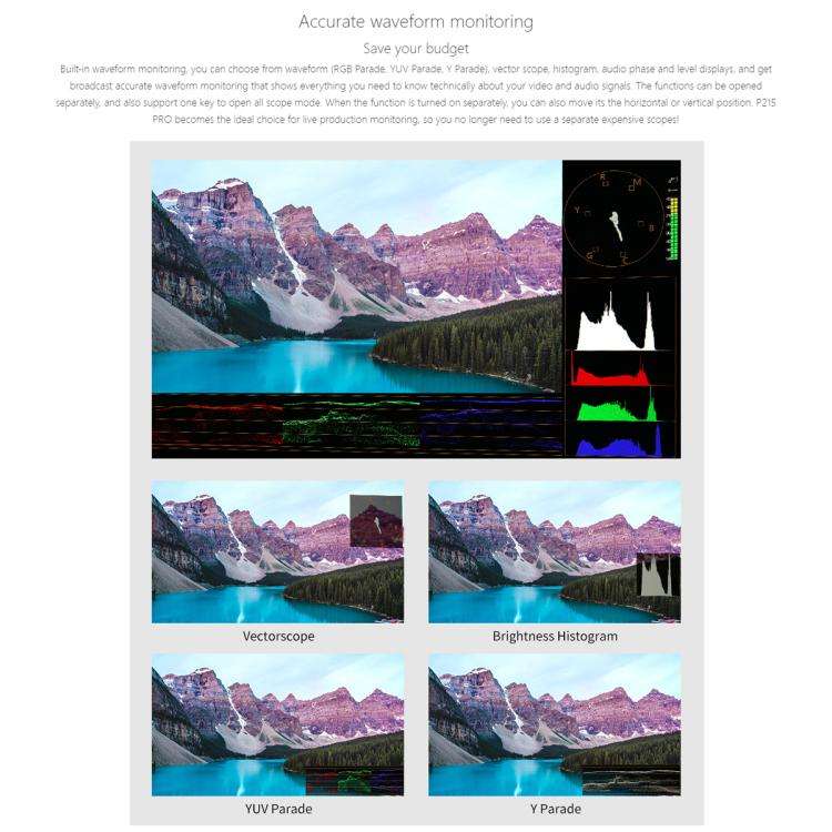 SEETEC P215 PRO 21.5 inch 1000nit High Bright Broadcast Monitor Full HD 1920x1080 Monitor(EU Plug)