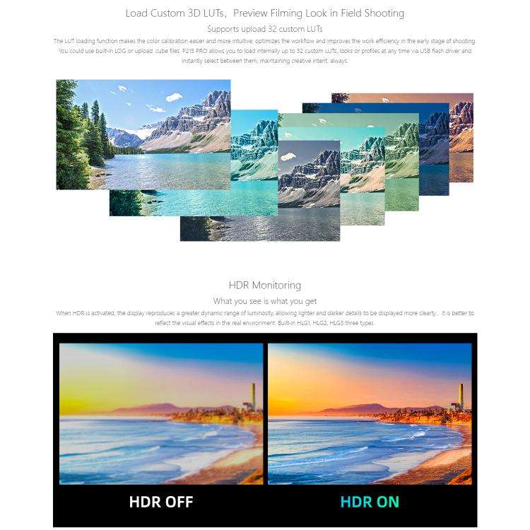 SEETEC P215 PRO 21.5 inch 1000nit High Bright Broadcast Monitor Full HD 1920x1080 Monitor(EU Plug)