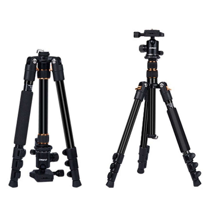 TRIOPO K2508S+B1S Adjustable Portable  Aluminum Alloy Tripod with Ball Head for SLR Camera(Gold)