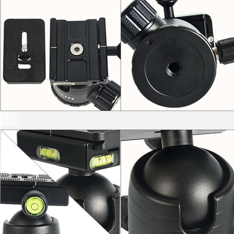 BEXIN W324C G44 Carbon Fiber Tripod Stable Shooting Camera for Video Point Dslr Camera
