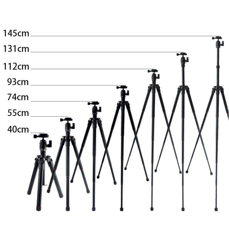 BEXIN MS12 Portable Lightweight Camera Ball Head Tripods Stand for Digital SLR DSLR camera