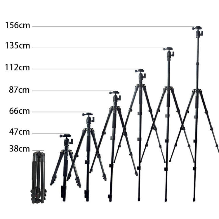 Bexin MS11 Portable Flexible Photographic Tripods for Smart Phone DSLR Slr Camera Camcorder DV