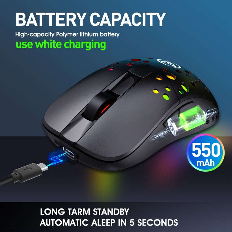 HXSJ T100 10000 DPI RGB Macro Definition Wired Wireless Dual-mode Mouse(Black)