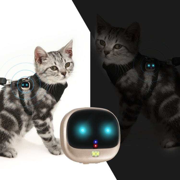 ReachFar RF-V47 IP67 Multi-function Mini GPS Pet Tracker with LED Light & Silicone Case(Gold)