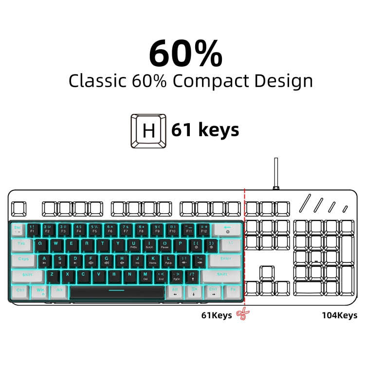 HXSJ V900 61 Keys Cool Lighting Effect Mechanical Wired Keyboard (Black White)