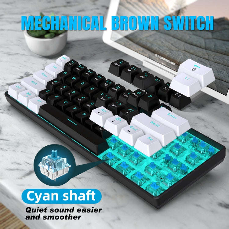 HXSJ V900 61 Keys Cool Lighting Effect Mechanical Wired Keyboard (Black White)