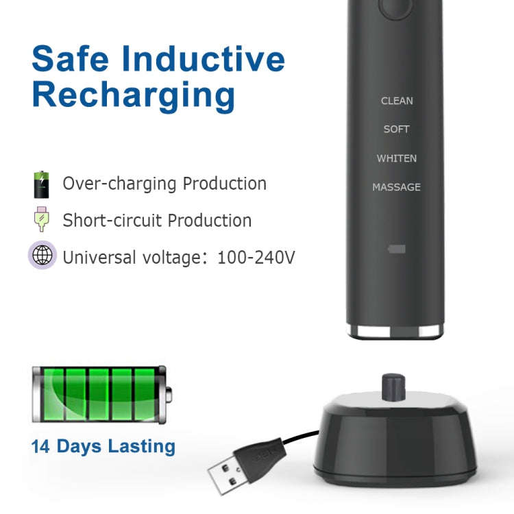 USB Charging Adults Electric Sonic Toothbrush with 8 Brush Heads(Black)