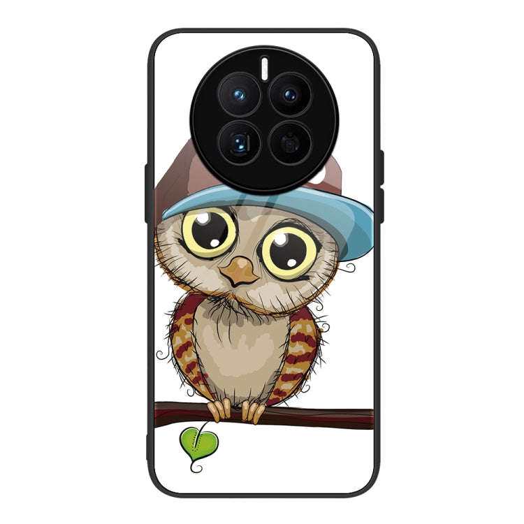 For Huawei Mate 50 Colorful Painted Glass Phone Case(Owl)