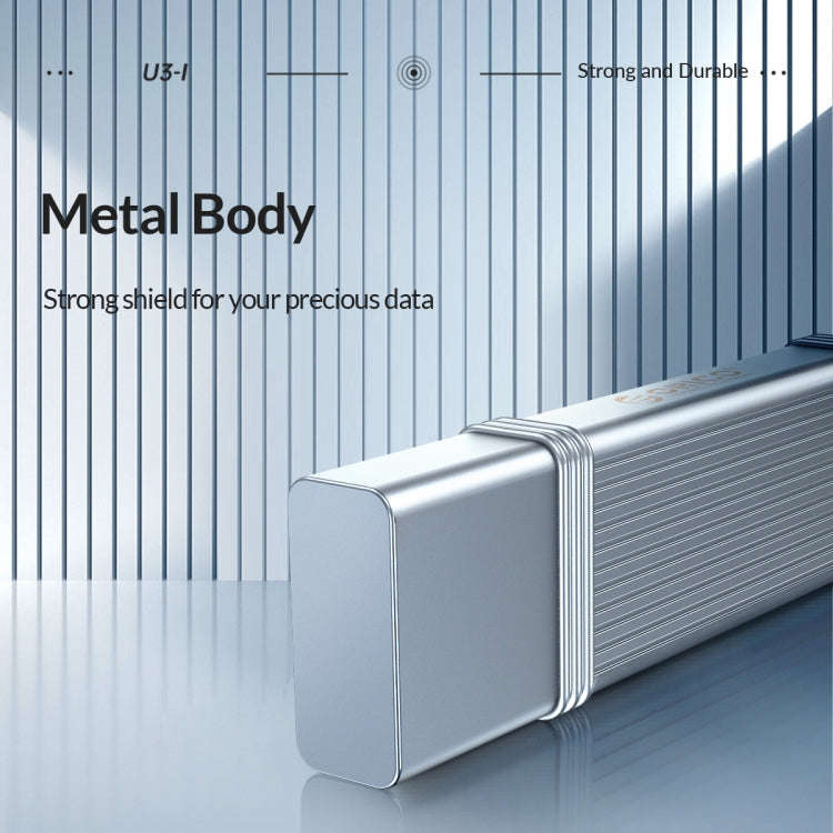 ORICO USB Flash Drive, Read: 100MB/s, Write: 50MB/s, Memory:256GB, Port:USB-A(Silver)