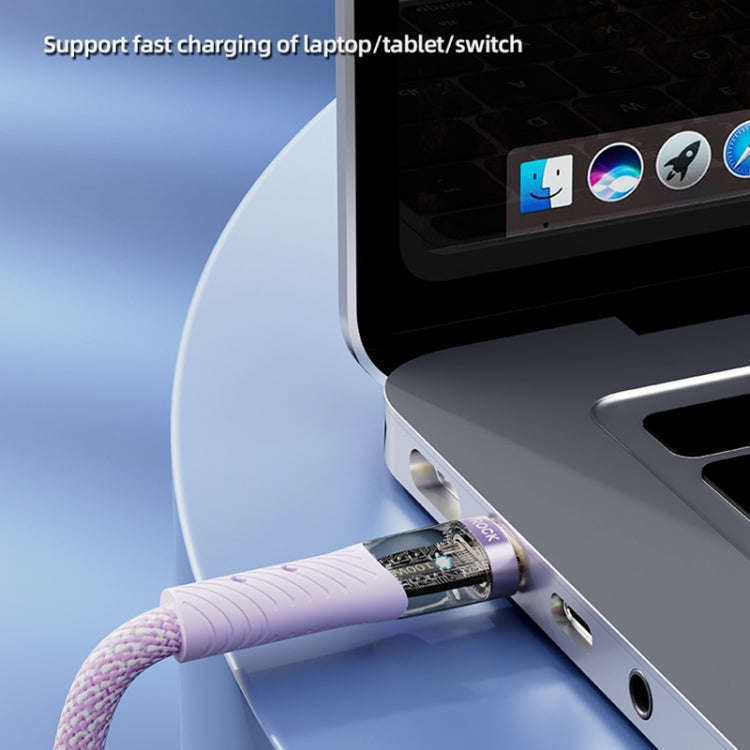 ROCK Z21 6A USB to USB-C/Type-C Transparent Fast Charging Data Cable, Length: 1.2m(Black)