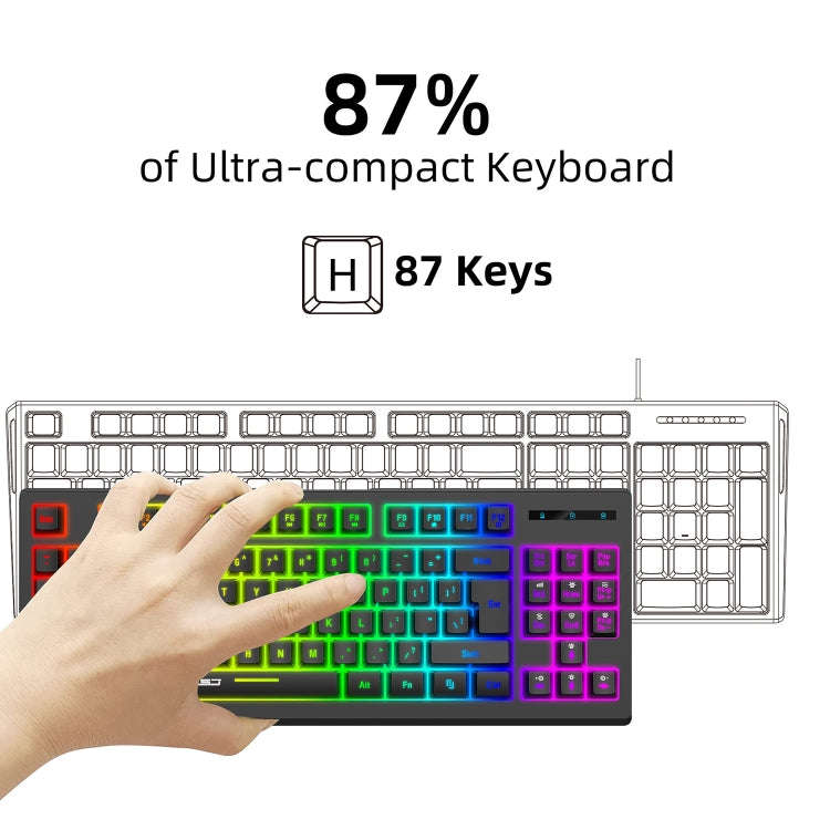 HXSJ L100 87 Keys RGB Backlit Film 2.4G Wireless Keyboard(Black)