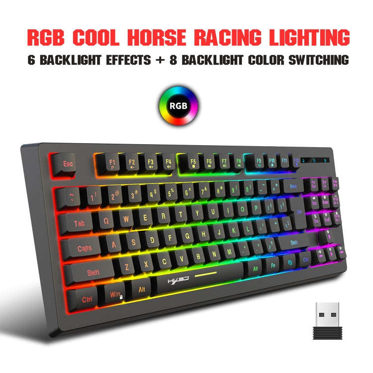 HXSJ L100 87 Keys RGB Backlit Film 2.4G Wireless Keyboard(Black)