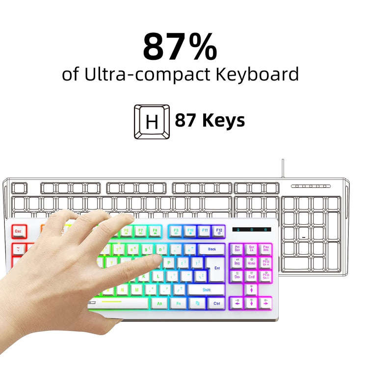 HXSJ L100 87 Keys RGB Backlit Film 2.4G Wireless Keyboard(White)