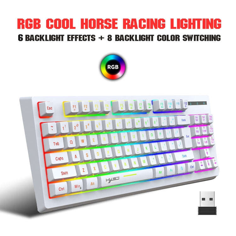 HXSJ L100 87 Keys RGB Backlit Film 2.4G Wireless Keyboard(White)
