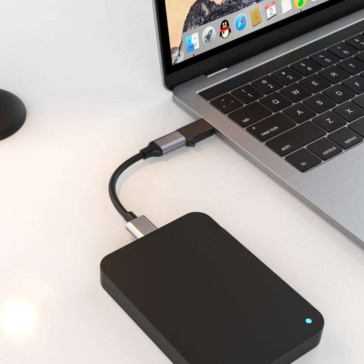 5311T USB to Type-C Adapter Converter(Black)