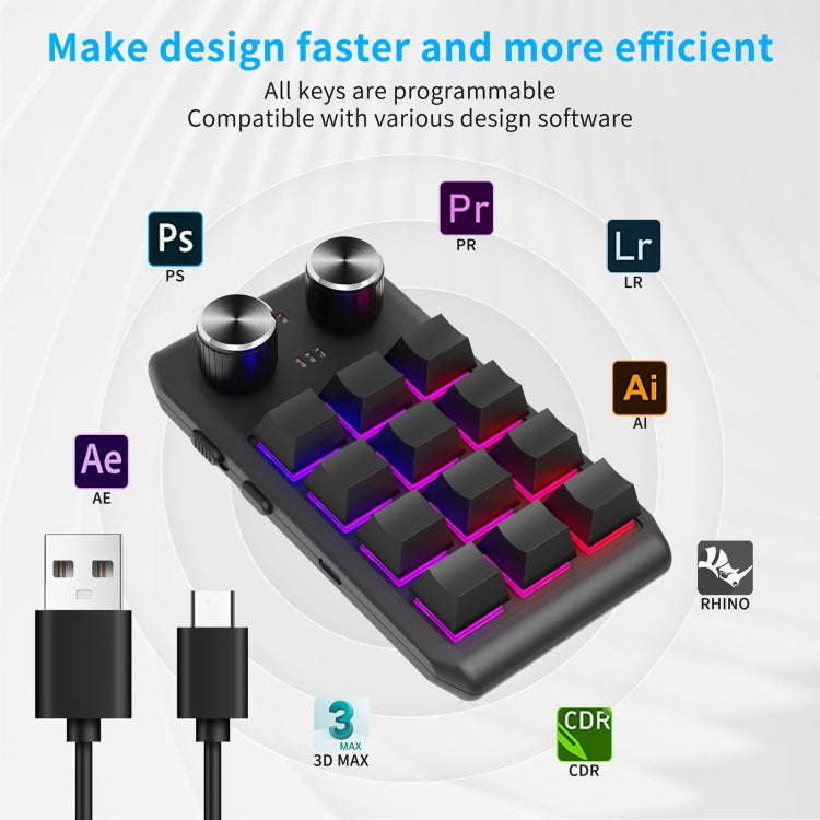 USB Wired 12KV2 MOLD Mini Mechanical 12 Keys 2 Knob Custom Programming Keyboard(Black)