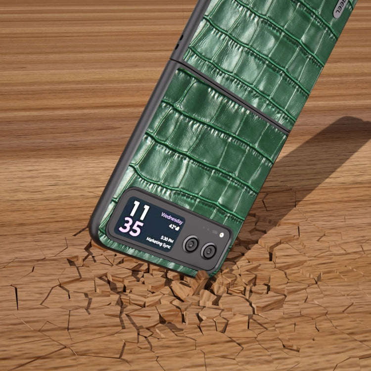 For Motorola Razr 40 ABEEL Crocodile Texture Genuine Leather Phone Case(Green)