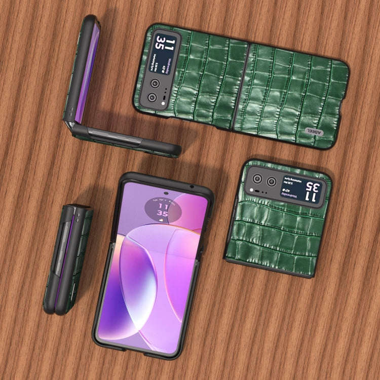 For Motorola Razr 40 ABEEL Crocodile Texture Genuine Leather Phone Case(Green)
