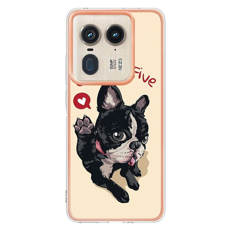 For Motorola Edge 50 Ultra Electroplating Marble Dual-side IMD Phone Case(Lucky Dog)