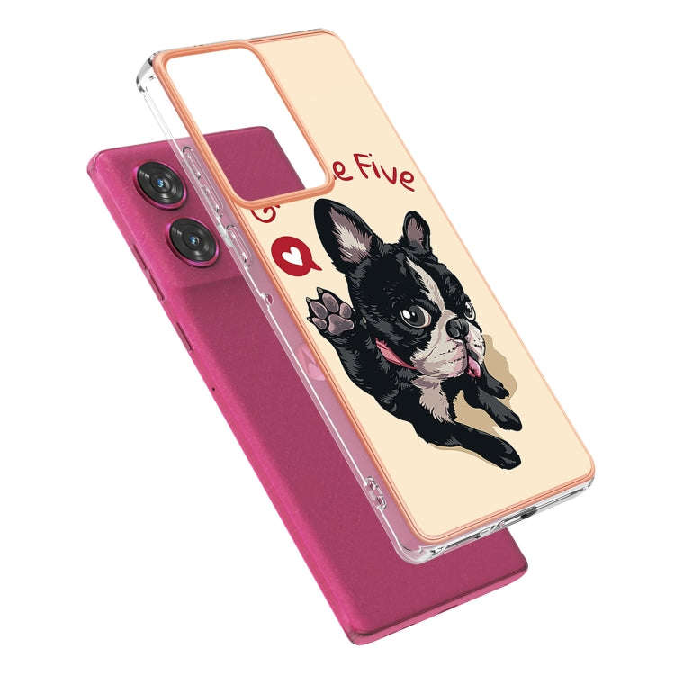 For Motorola Edge 50 Fusion Electroplating Marble Dual-side IMD Phone Case(Lucky Dog)