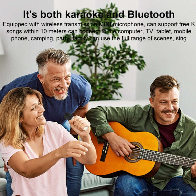 WK D43 Mini Karaoke Bluetooth Speaker(Beige)