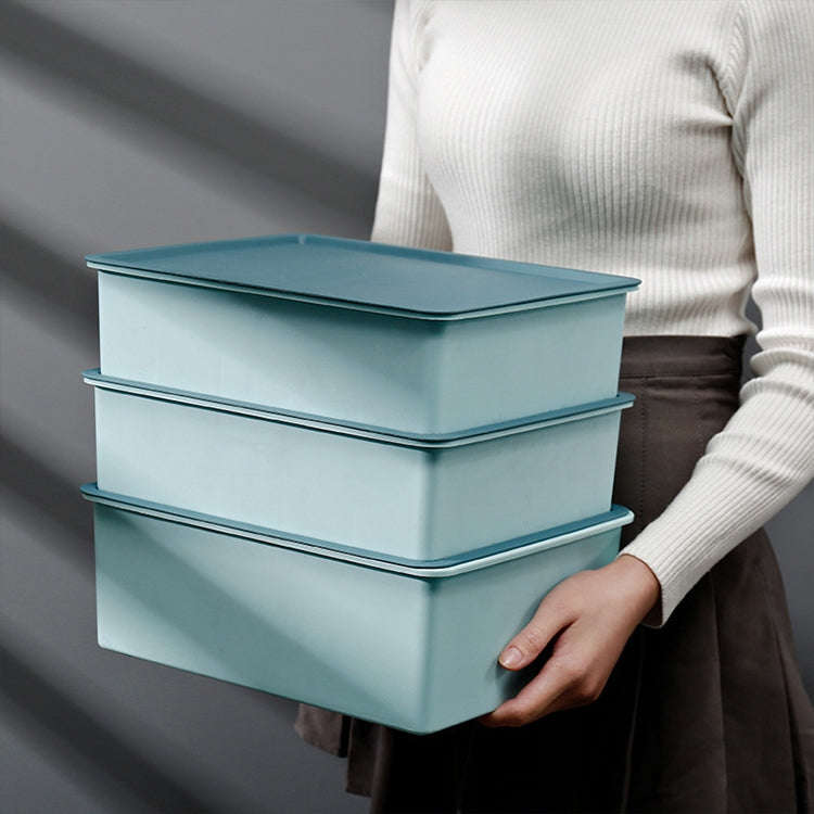 Contrast Color Underwear Storage Box Multi-Gate Plastic Bra Socks Storage Box 10 Grids with Cover...