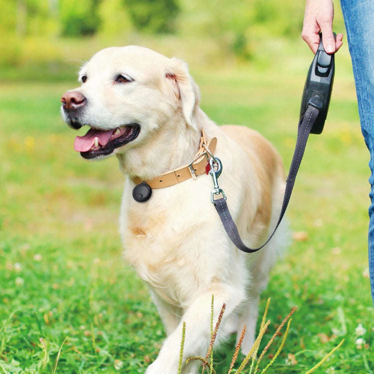 Global Positioning Pet Key Circular Anti-Lost Device Locator(White)
