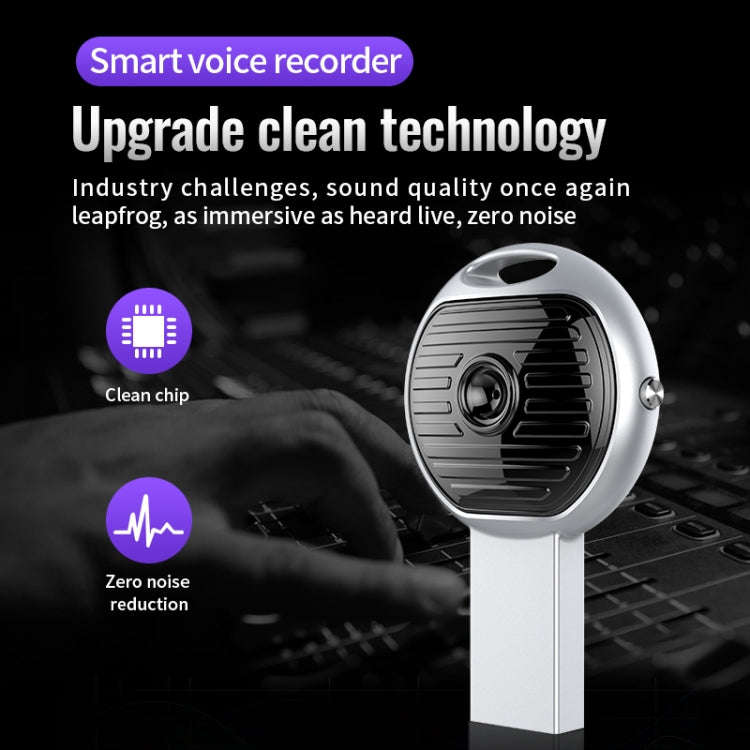 JNN S13 Zinc Alloy U-disk Voice Recorder, Memory:4GB(Silver)