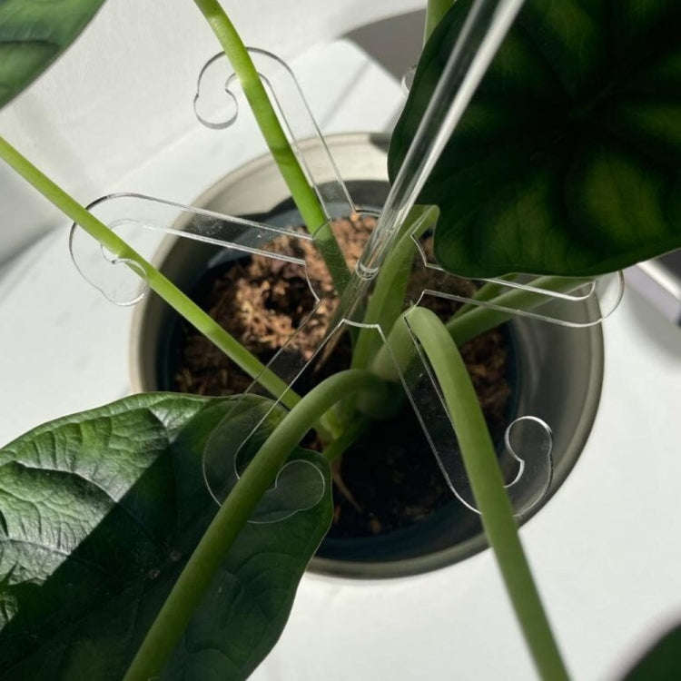 YX106 Acrylic Plant Growth Support Bracket(Small)