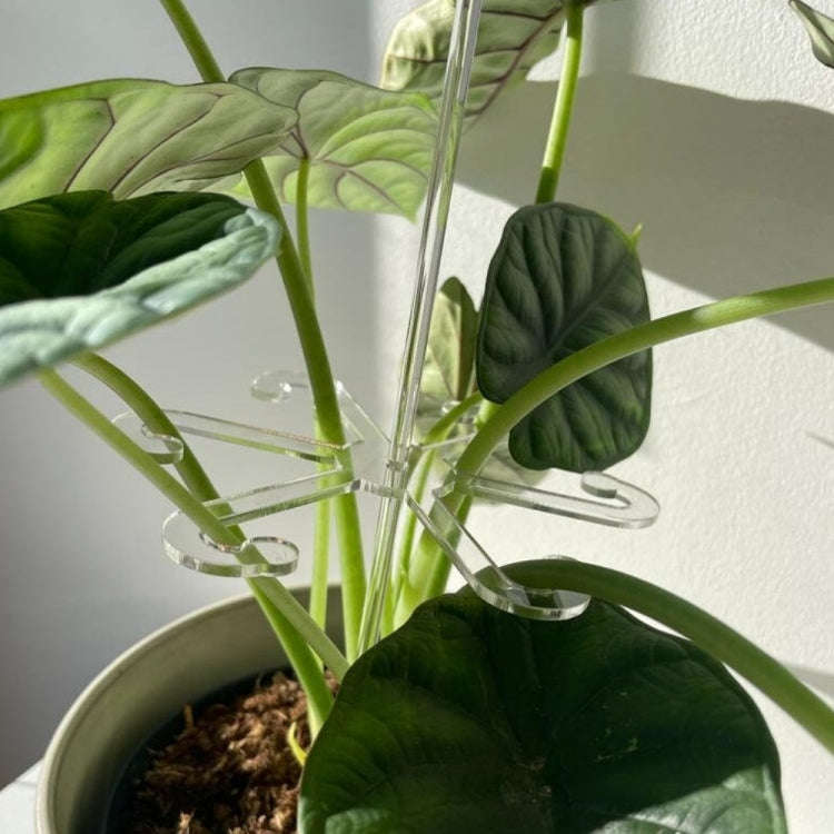 YX106 Acrylic Plant Growth Support Bracket(Small)