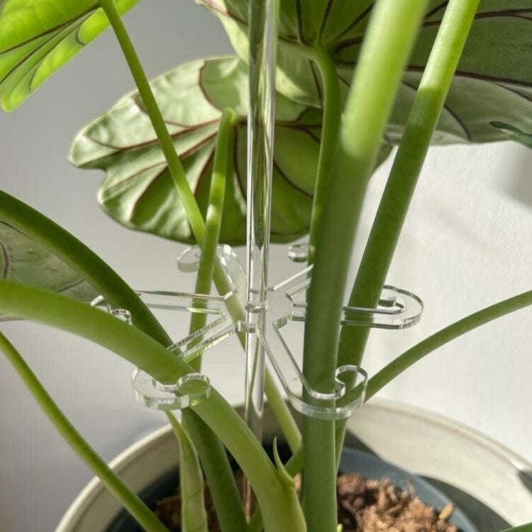 YX106 Acrylic Plant Growth Support Bracket(Medium)