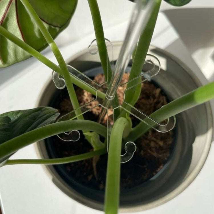 YX106 Acrylic Plant Growth Support Bracket(Medium)