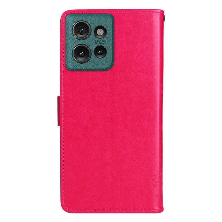 For Motorola Edge 50 5G Tree & Cat Embossed Pattern Flip Leather Phone Case(Rose Red)