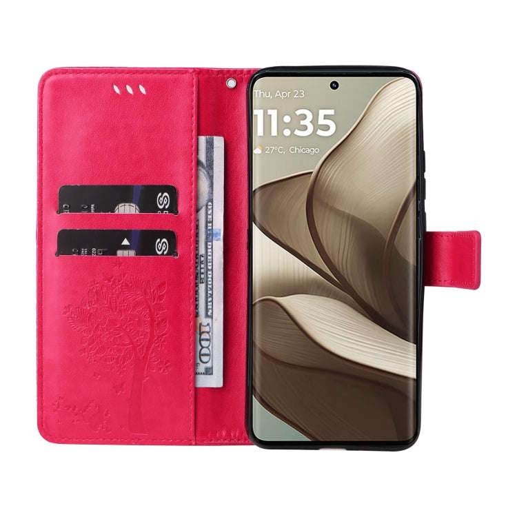 For Motorola Edge 50 5G Tree & Cat Embossed Pattern Flip Leather Phone Case(Rose Red)