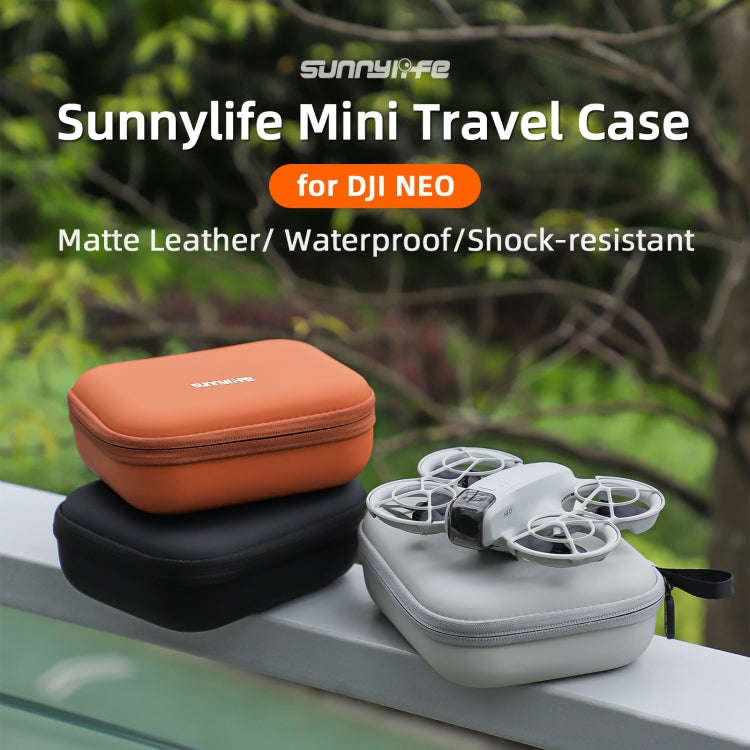 For DJI Neo Sunnylife Body Storage Case Box Suitcase(Grey)