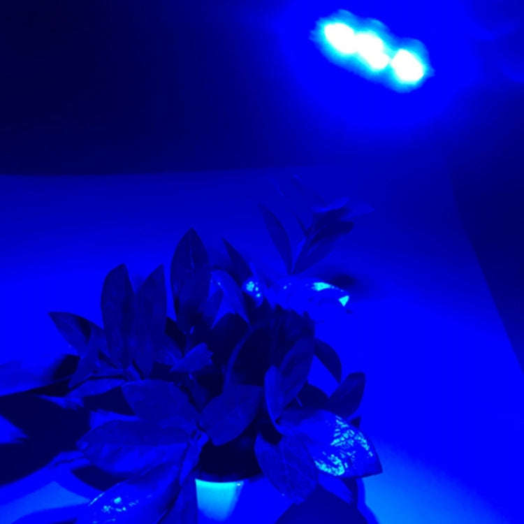 3W 6 LEDs SMD 5730 LED Module Lamp Lighting Source(Blue Light)