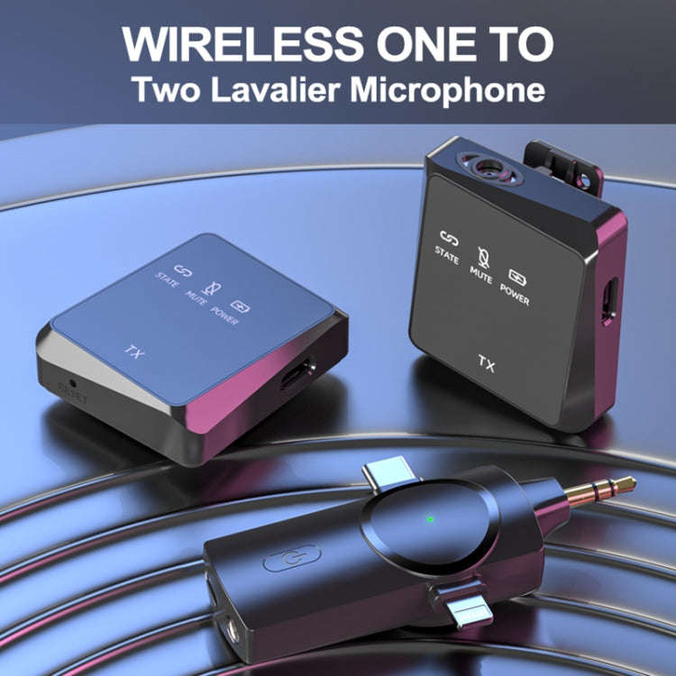 AP009 Wireless One to Two Lavalier Microphone with 3 in 1 Receiver(Black)