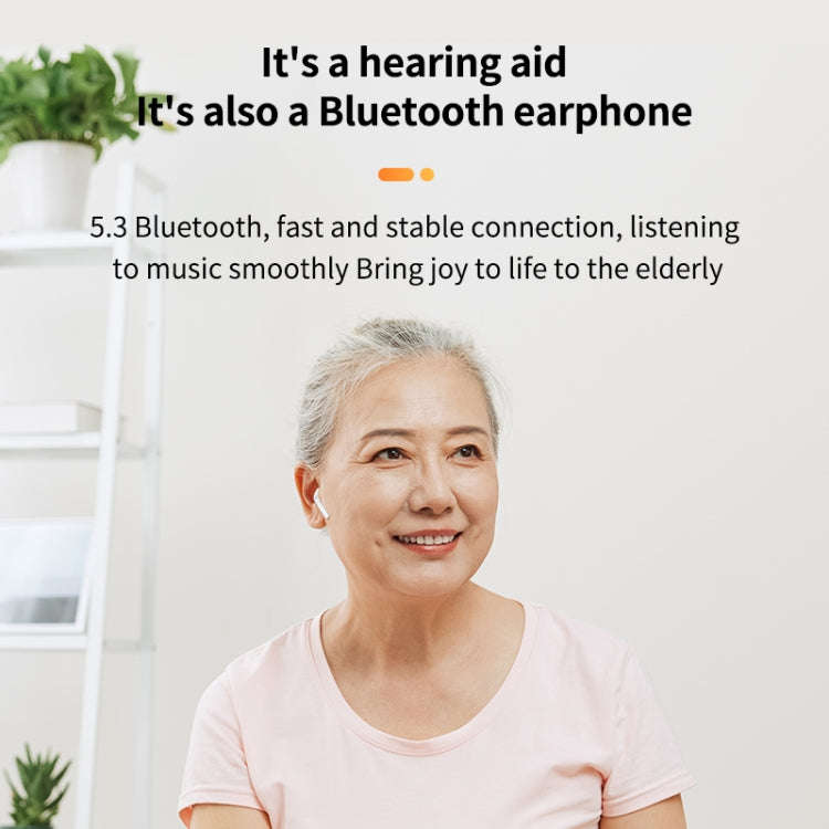 Bluetooth 5.3 In-ear AI Smart Recognition Hearing Aid(Black)