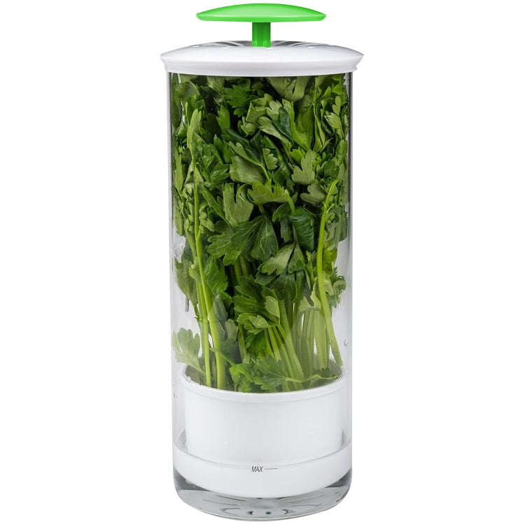 Herb Cilantro Preservation Storage Box Vegetable Keep Fresh Container, Size:31 x 12cm(Green)