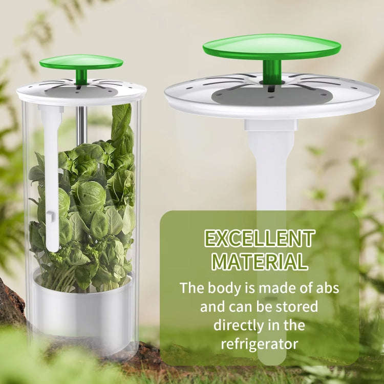 Herb Cilantro Preservation Storage Box Vegetable Keep Fresh Container, Size:31 x 12cm(Green)